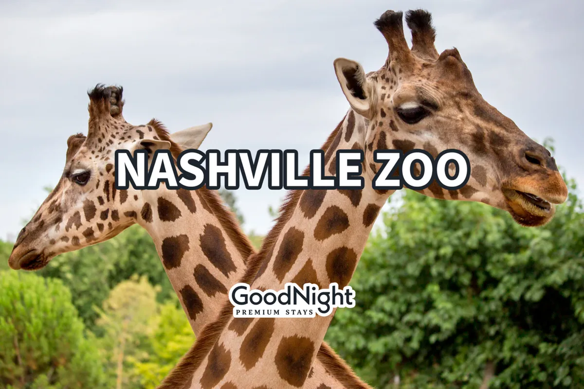 This exterior photo features giraffes amid green foliage at the Nashville Zoo, highlighting opportunities for animal watching, educational tours, and family picnics in a joyful atmosphere.